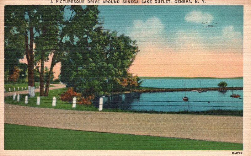 Vintage Postcard 1949 A Picturesque Drive Around Seneca Lake Outlet Geneva NY 