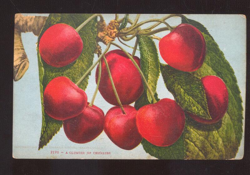 BUNCH OF LARGE CHERRIES CHERRY ANTIQUE VINTAGE POSTCARD EDWARD H MITCHELL