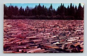 Maine Logging Time Scenic Logging Operation Chrome Cancel WOB Postcard 