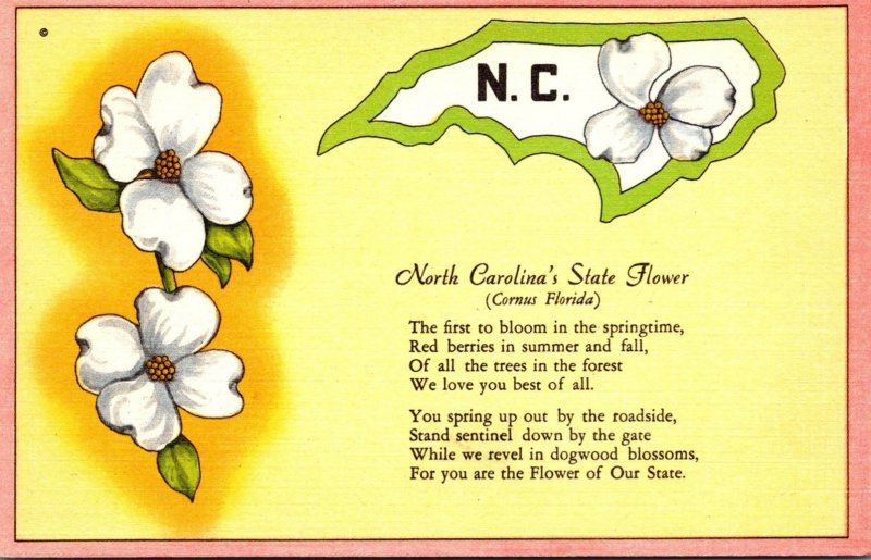 North Carolina State Flower Dogwood