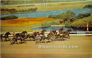  Inglewood, California, CA, USA Horse Racing Postcard Western Harness Racing,...