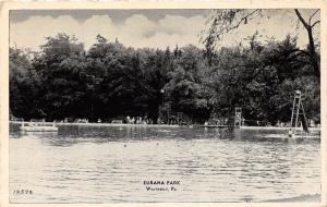 D68/ Weatherly Pennsylvania Pa Postcard c1940s Eurana Park Swimming Area Slide