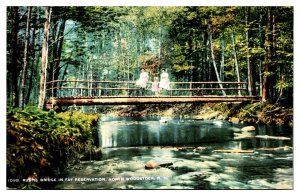 ANTQ Rustic Bridge, Fay Reservation, Girls, North Woodstock, NH
