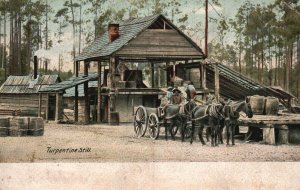 Vintage Postcard 1900s Turpentine Still Traditions of Turpentining South Georgia