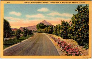 Postcard HIGHWAY SCENE Phoenix Arizona AZ AN8969
