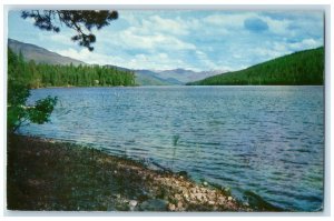 1956 View Of Swan Lake Kalispell Montana MT Posted Vintage Postcard