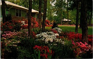 Springtime South House Postcard VTG UNP Koppel Bessemer AL Alabama Vintage  