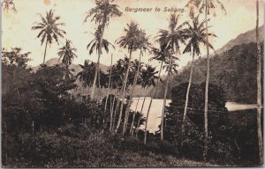 Indonesia Bergmeer Te Sabang Atjeh Vintage Postcard C146