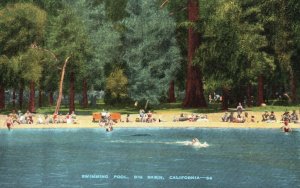 Vintage Postcard Swimming Pool Unique Settings Of Redwoods Big Basin California