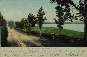 C.1910 A View of Canandaraga Lake, N. Y. Vintage Postcard P53