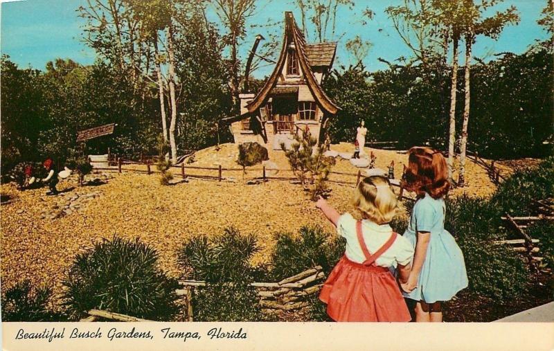 Tampa Florida~Beautifu Busch Gardens Gnomes~Crooked House 1950 Postcard 