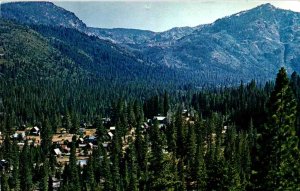 Johnsville, California - A view of the City of Johnsville - c1950