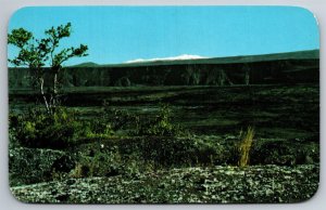 Snow Capped Mauna Kea Kilauea Crater Hawaii National Park HI Postcard D22