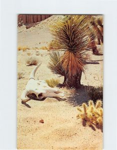 Postcard On The Western Desert, The West