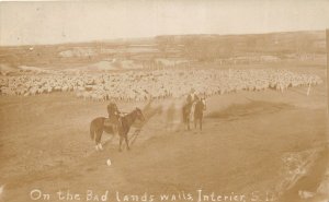 J25/ Interior South Dakota Postcard RPPC c1910 Badlands Cowboys Sheep 173