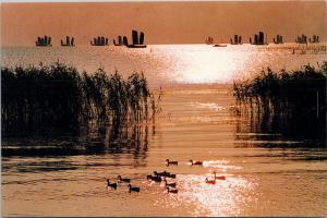 Sailboats on Lake Taihu China Postcard D59 UNUSED