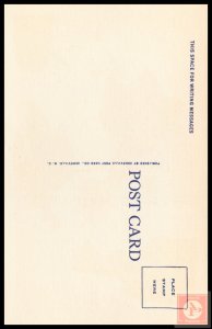 Cotton Blossoms in Dixieland