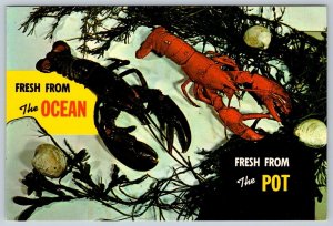 Lobsters Fresh From The Ocean Fresh From The Pot Prince Edward Island Postcard 2