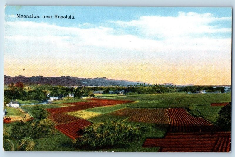 Moanalua Hawaii Postcard Hons M Damon Native Fruits Flower Large Polo Field 1910