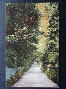 Hertfordshire ST. ALBANS Veruliant Woods - Old Postcard by Boots Cash Chemist