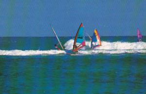 Hawaii Honolulu Windsurfing
