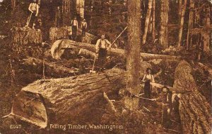 Felling Timber Lumberjacks Logging Washington 1914 postcard
