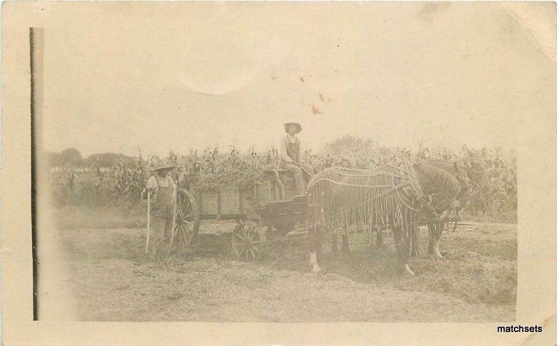 Agriculture C-1910 Farming Corn Harvest Horse drawn workers Overall RPPC 3287