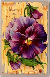 1914 Hearty Greetings Pansies Bouquet Birthday Best Wishes Posted Postcard