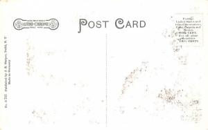 Watauga Falls Delhi, New York Postcard