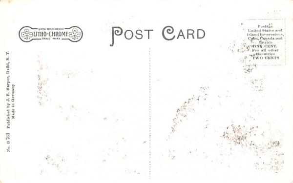 Watauga Falls Delhi, New York Postcard