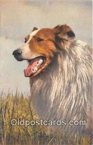 Collie Dog Unused 