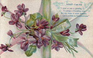 Vintage Postcard 1910 Violet I Am True I Tried to Pen A Greetings Purple Flowers