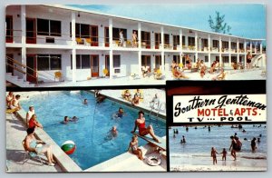 Florida Postcard - Southern Gentleman Motel  Madeira Beach  St. Petersburg