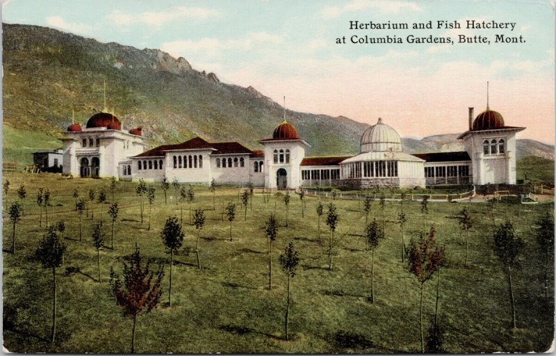 Butte MT Herbarium & Fish Hatchery Montana Columbia Gardens Unused Postcard G35