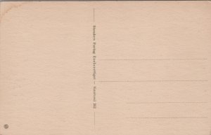 Denmark Naestved Apostelgaarden Næstved Vintage Postcard C021