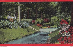 Waterfalls In Henry Timrod Park, FLORENCE, South Carolina, PU-1951