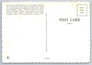 Shells From Myrtle Beach, South Carolina, Chrome POSTCARD