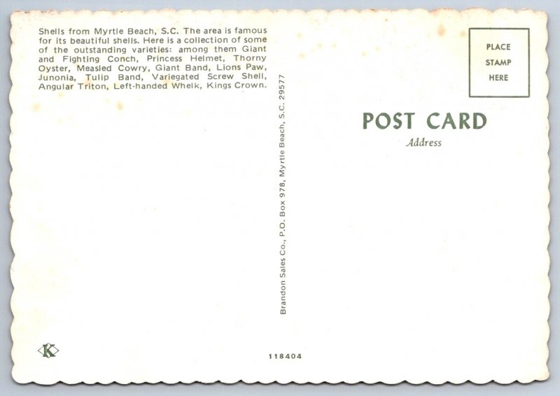 Shells From Myrtle Beach, South Carolina, Chrome POSTCARD