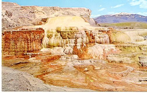 WY - Yellowstone, The Terraces at Mammoth Hot Springs