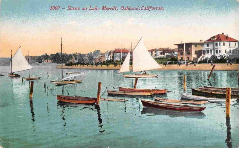 Lake Merritt Boats Oakland California 1910c postcard