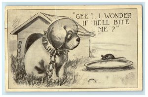 1912 Puppy Dog Dog House Mouse Rat Chain Freeport IL Comic Humor Funny Postcard 
