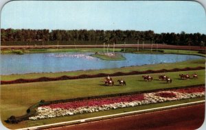 Hialeah Race Course Miami Florida Vintage Postcard Horse Track Rounded Corners