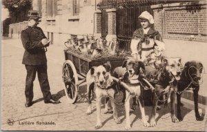 Laitiere Flamande Milk Inspector Dogs Cart Thill Brussels Belgium Postcard H53