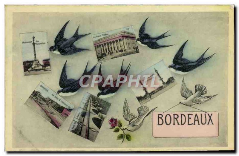 Old Postcard Bordeaux Swallows