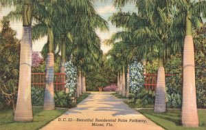 Beautiful Residential Palm Pathway MIAMI Florida Dade County Vintage Postcard