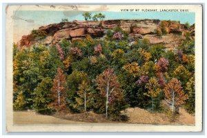 1927 View Of Mt. Pleasant Trees Scene Lancaster Ohio OH Posted Vintage Postcard