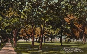 Kalamazoo Michigan MI, View Bronson Park, Trees, Green Grass, Vintage Postcard