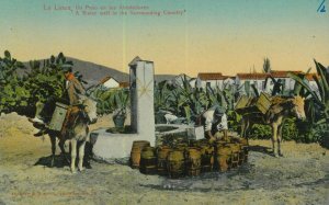 92273 - GIBRALTAR - VINTAGE   POSTCARD -  LA LINEA Water well