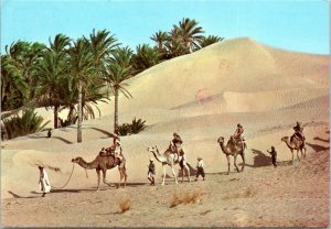 postcard Tunisia - Camel Caravan in the Sahara