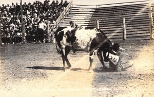 Old West,RPPC Real Photo,Cowboy,Rodeo, Bulldogger, Washington, WA , Old Postcard